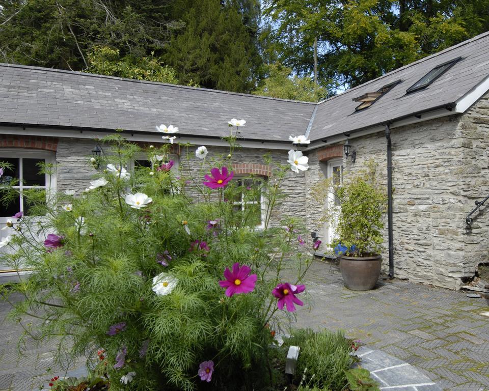 Bed and Breakfast Rhosygilwen Courtyard Cilgerran Екстер'єр фото